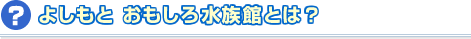 �悵���Ƃ������됅���قƂ́H