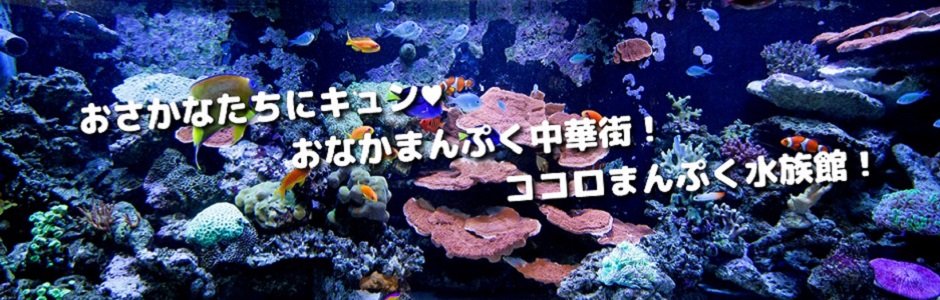 ココロまんぷく水族館！