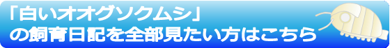 飼育日記一覧バナー