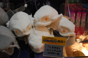 シロマルカラーのオオグソクムシ