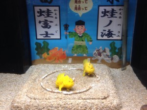 カエルアンコウ①