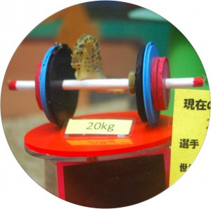 図1