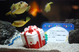 画像⑥