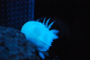 2015-12-16 19.04.44