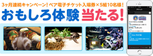 ヨコハマおもしろ水族館