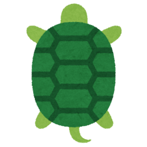 カメ