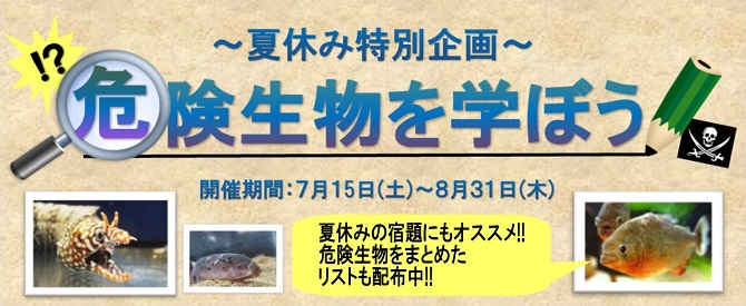 2017危険生物を学ぼう
