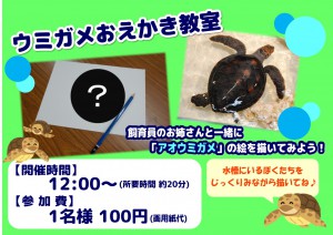 ウミガメお絵描き教室ポップ