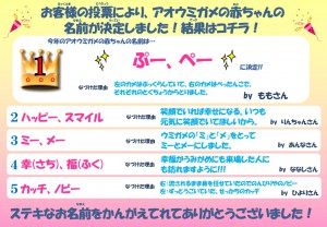 名前決定！！2018