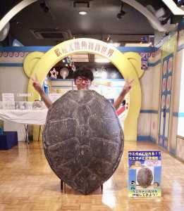 ウミガメ写真撮影２
