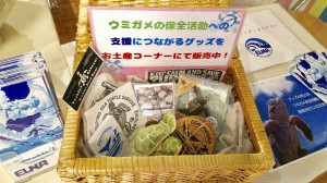 ウミガメ物販