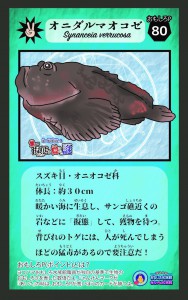 カード完成①