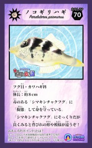 カード完成②