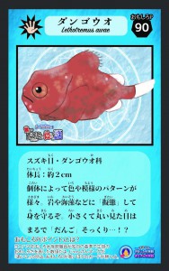 カード完成③