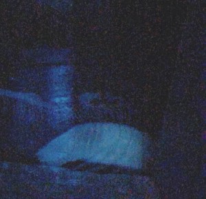 image1 (010)h
