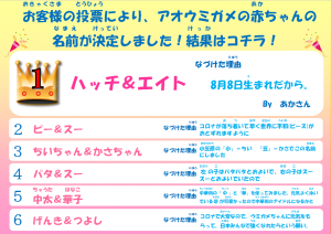 結果発表